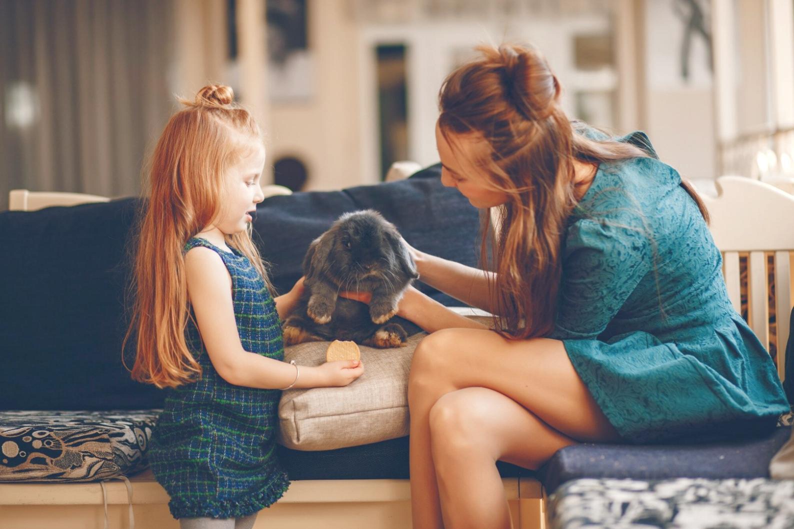 Rappresentazione visiva del percorso di crescita familiare e sviluppo delle competenze genitoriali